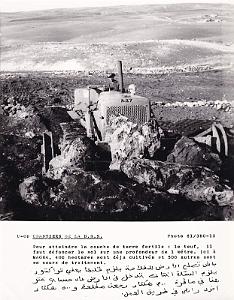 Algerie propagande 067